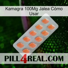 Kamagra 100Mg Jalea Cómo Usar 26